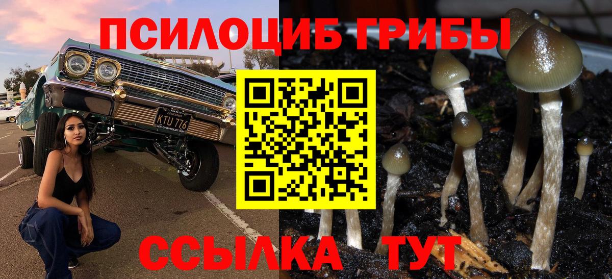Галлюциногенные грибы MAGIC MUSHROOMS  Вход с VPN  Галлюциногенные грибы Magic Shrooms  Баксан 