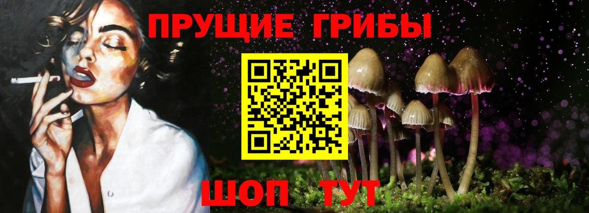 Псилоцибиновые грибы ЛСД Баксан